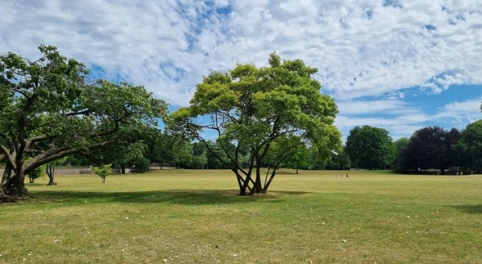 科隆景點地圖